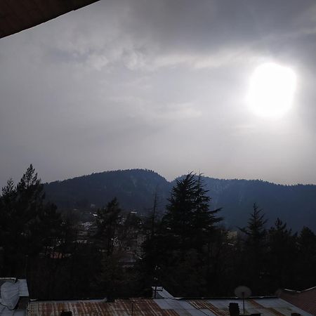 Gogichas Tower Hotel Bordzjomi Kamer foto